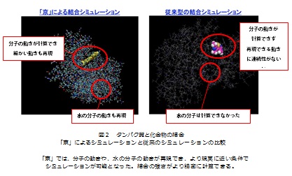 タンパク質と化合物の結合